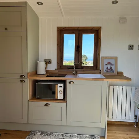 Fernlea Luxury Shepherds Hut & Hot Tub Chalet Boosbeck